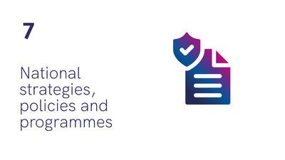 Number 7: National strategies, policies and programmes